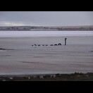 Kein Wunder, dass Nessie nicht mehr in Schottland gesichtet wird